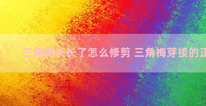 三角梅长长了怎么修剪 三角梅芽接的正确方法